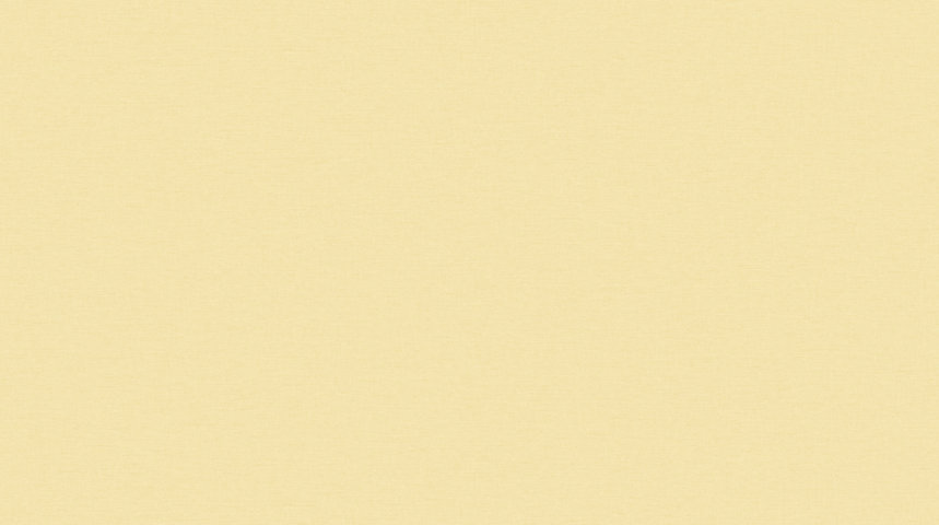 88216-4 